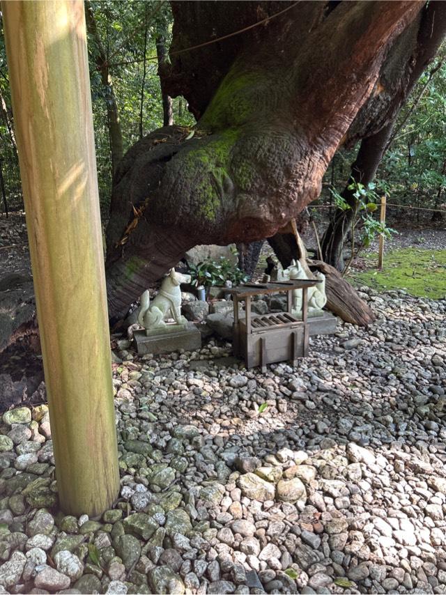 稲荷社(月夜見宮)の参拝記録7