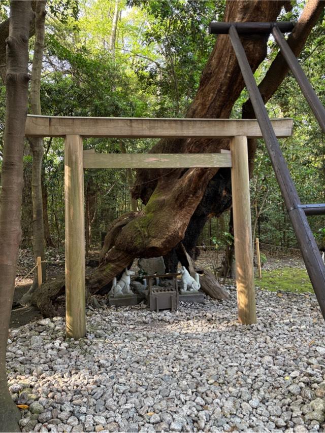 稲荷社(月夜見宮)の参拝記録8