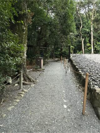 稲荷社(月夜見宮)の参拝記録(⛩️🐍🐢まめ🐢🐍⛩️さん)