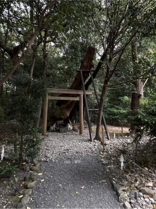 稲荷社(月夜見宮)の参拝記録(⛩️🐍🐢まめ🐢🐍⛩️さん)