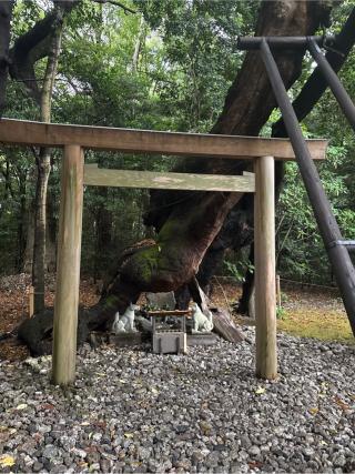 稲荷社(月夜見宮)の参拝記録(⛩️🎠🐢まめ🐢🎠⛩️さん)