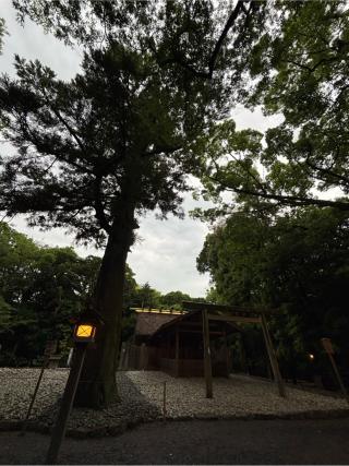 稲荷社(月夜見宮)の参拝記録(マ🌸ノさん)