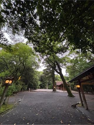 稲荷社(月夜見宮)の参拝記録(マ🌸ノさん)
