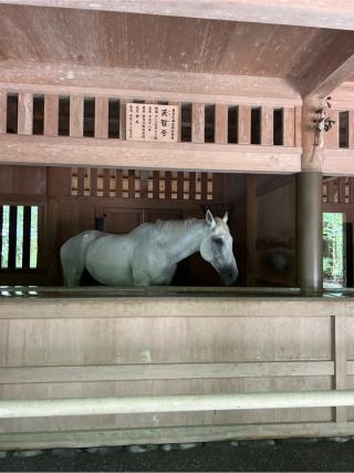 御厩(伊勢神宮外宮)の参拝記録(⛩️🐍🐢まめ🐢🐍⛩️さん)