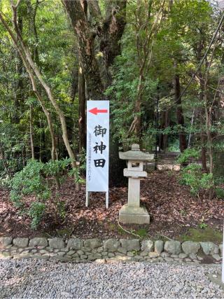 御神田(猿田彦神社境内)の参拝記録(⛩️🎠🐢まめ🐢🎠⛩️さん)