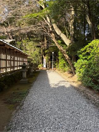 御神田(猿田彦神社境内)の参拝記録(⛩️🎠🐢まめ🐢🎠⛩️さん)