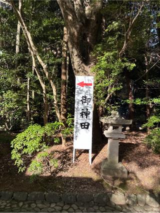 御神田(猿田彦神社境内)の参拝記録(⛩️🎠🐢まめ🐢🎠⛩️さん)