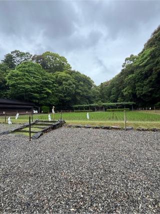 御神田(猿田彦神社境内)の参拝記録(マ🌸ノさん)