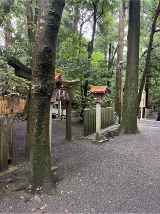御船磐座（椿大神社）の参拝記録(⛩️🐍🐢まめ🐢🐍⛩️さん)