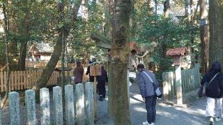 御船磐座（椿大神社内）の参拝記録(ごま男さん)