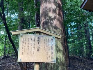 地球の玉 猿田彦大神(椿大神社内)の参拝記録(恭子さん)