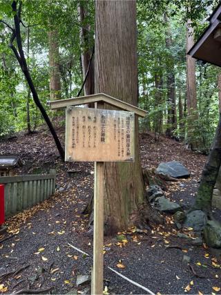 地球の玉 猿田彦大神(椿大神社内)の参拝記録(⛩️🎠🐢まめ🐢🎠⛩️さん)