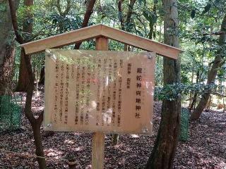 龍蛇神両地神社（椿大神社）の参拝記録(銀玉鉄砲さん)