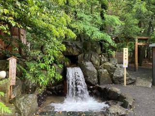 龍蛇神両地神社（椿大神社）の参拝記録(恭子さん)