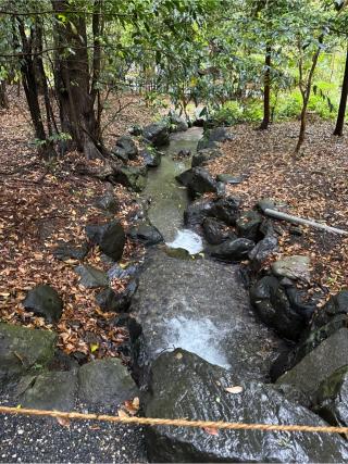 龍蛇神両地神社（椿大神社）の参拝記録(⛩️🎠🐢まめ🐢🎠⛩️さん)