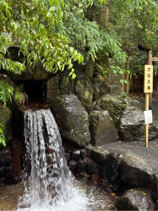 龍蛇神両地神社（椿大神社）の参拝記録(マ🌸ノさん)
