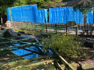 椿立雲龍神社（椿大神社）の参拝記録(恭子さん)