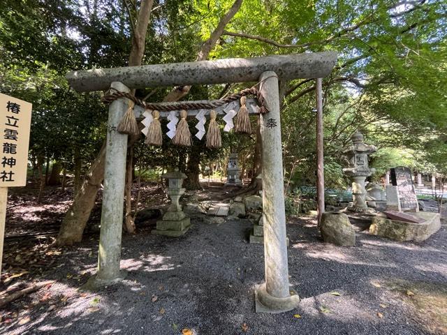 椿立雲龍神社(椿大神社)の参拝記録6