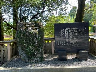 椿立雲龍神社（椿大神社）の参拝記録(あまぞんさん)