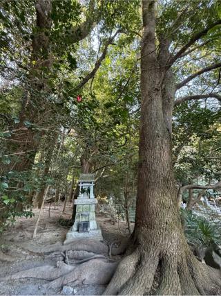 椿立雲龍神社（椿大神社）の参拝記録(あきちゃんさん)