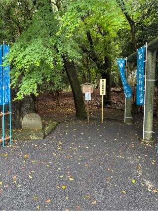 椿立雲龍神社（椿大神社）の参拝記録(⛩️🎠🐢まめ🐢🎠⛩️さん)