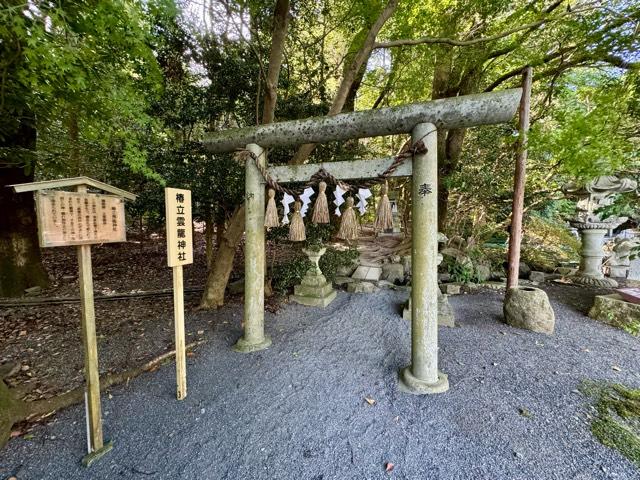 椿立雲龍神社（椿大神社）の参拝記録8