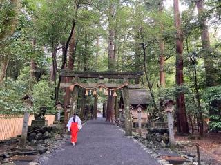 恵比寿・大黒社（椿大神社）の参拝記録(恭子さん)