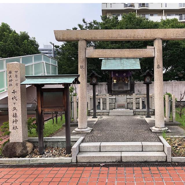 千代ケ丘椿神社の参拝記録(ワヲンさん)
