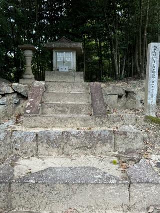 楠社(敢國神社境内社)の参拝記録(こーちんさん)