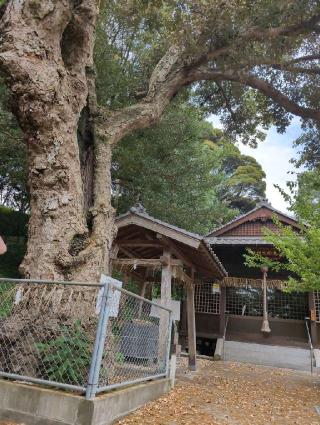 荻浦神社の参拝記録(ミムさん)