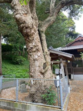荻浦神社の参拝記録(はるかあきさん)