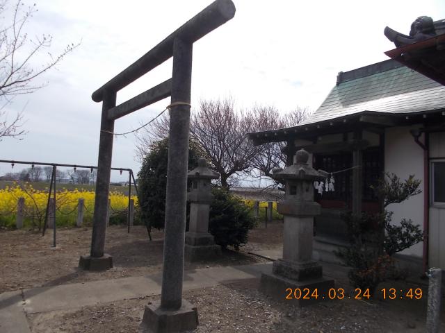 埼玉県深谷市前小屋75 菅原神社の写真2