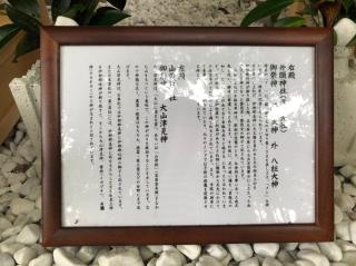 井頭神社(韋駄天社、山の神社)の参拝記録(mmかずやmmさん)