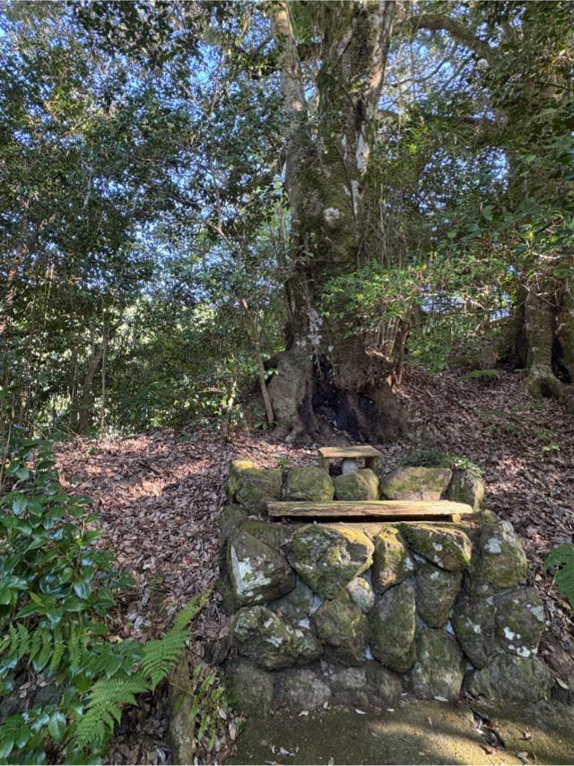 奈良県吉野郡天川村坪内107 井頭神社(韋駄天社、山の神社)の写真3
