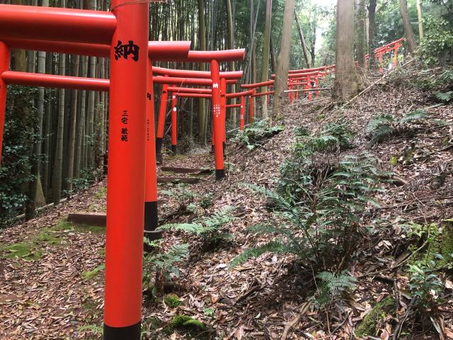 兵庫県丹波篠山市西岡屋５７９ 三四郎稲荷神社の写真1