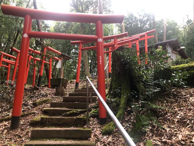 三四郎稲荷神社の参拝記録1