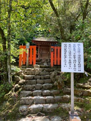 須波神社（上賀茂神社）の参拝記録(恭子さん)