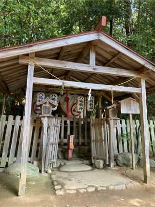 八嶋龍神（二葉姫稲荷神社境内）の参拝記録(恭子さん)