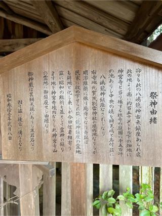八嶋龍神（二葉姫稲荷神社境内）の参拝記録(⛩️🎠🐢まめ🐢🎠⛩️さん)