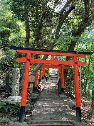 二葉姫稲荷神社（二葉稲荷大明神）の参拝記録(恭子さん)