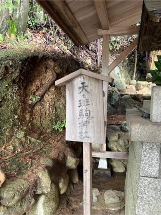 天之斑駒神社(二葉姫稲荷神社境内社)の参拝記録(⛩️🐍🐢まめ🐢🐍⛩️さん)