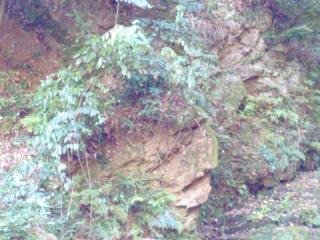 滝御前(松尾大社)の参拝記録(miyumikoさん)