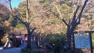 水屋神社（富士山本宮浅間大社境内社）の参拝記録(SFUKUさん)