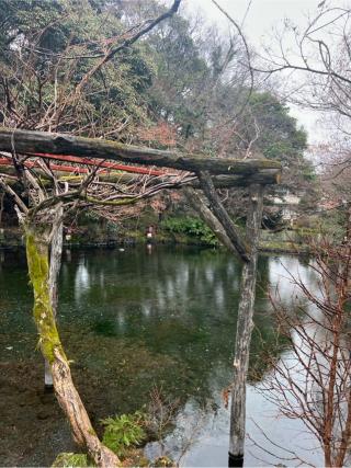 水屋神社（富士山本宮浅間大社境内社）の参拝記録(⛩️🐍🐢まめ🐢🐍⛩️さん)
