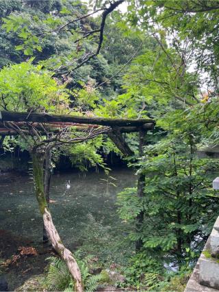 水屋神社（富士山本宮浅間大社境内社）の参拝記録(⛩️🐍🐢まめ🐢🐍⛩️さん)