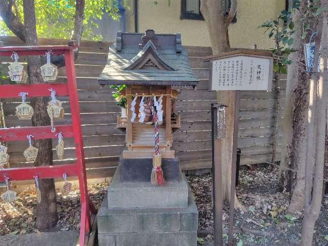天神社(鎮守氷川神社境内社)の参拝記録1