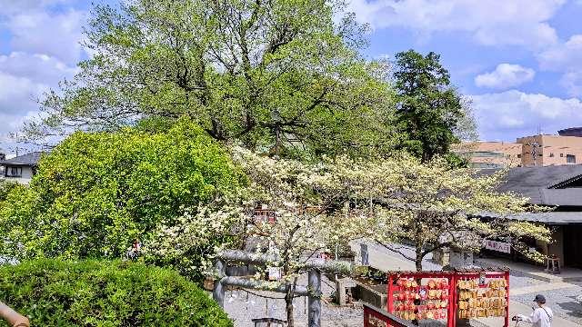 富士塚(鎮守氷川神社境内社)の参拝記録3