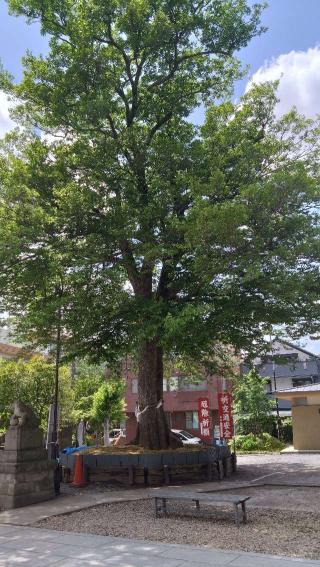 富士塚(鎮守氷川神社境内社)の参拝記録(まっくさん)