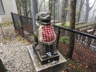 五社神社(立里荒神社)の参拝記録(すったもんださん)