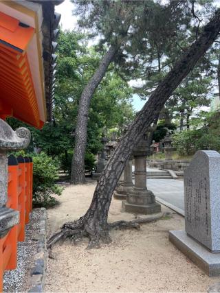 龍社(御井殿社)の参拝記録(⛩️🐍🐢まめ🐢🐍⛩️さん)